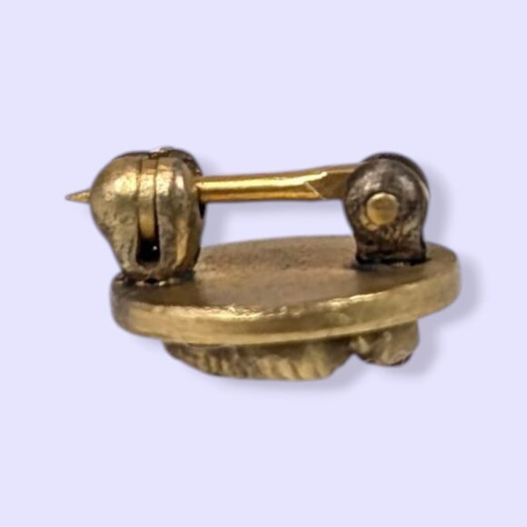 V. Sigma Nu Fraternity Pledge Pin - Picture 4 of 6